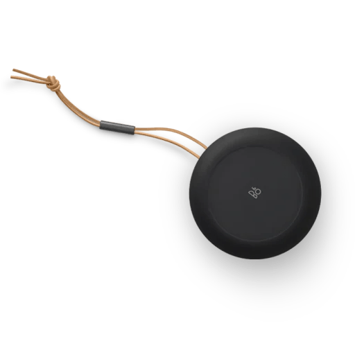 Beosound A1 (2nd Gen)